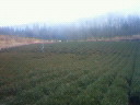201001311329000.jpg