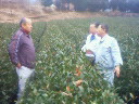 201001311333001.jpg